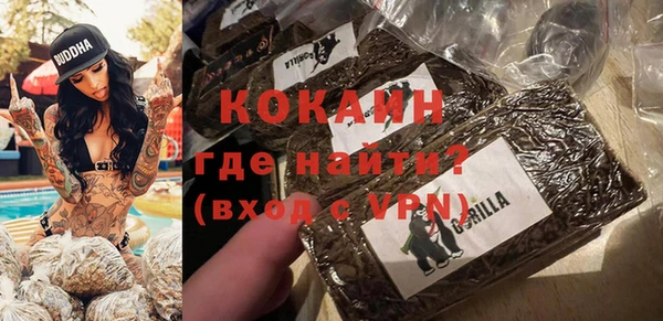 молекула духа Касимов