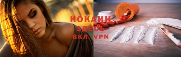 дмт Каменногорск