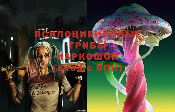 молекула духа Касимов