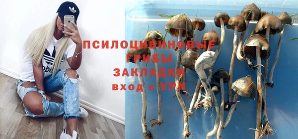 мдма Карпинск