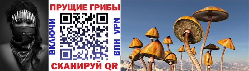 Галлюциногенные грибы мицелий  Купить  Воркута 